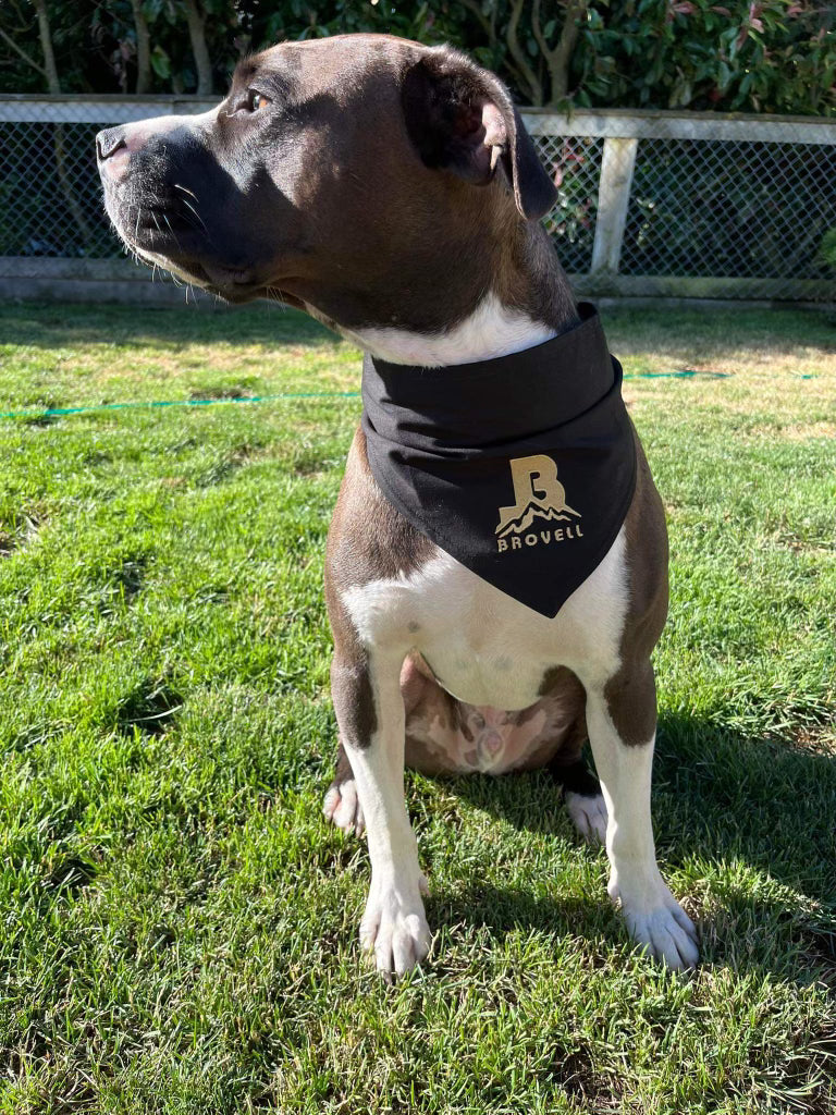 Pet Bandana
